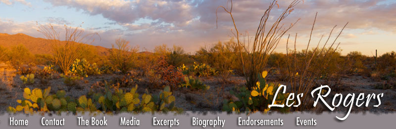 Sonoran Desert Landscape
